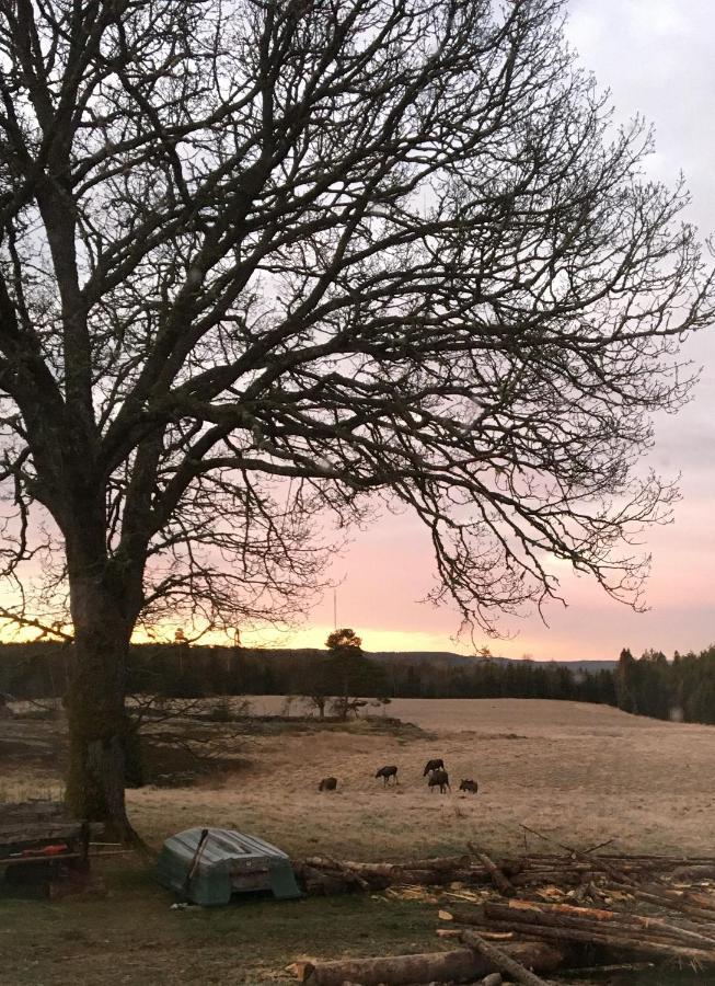 Stuga Vid Viltaker Naera Norska Graensen Strömstad Exterior foto